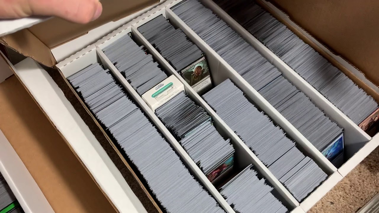 MTG Collection - How I Organize My Paper Magic: The Gathering Cards