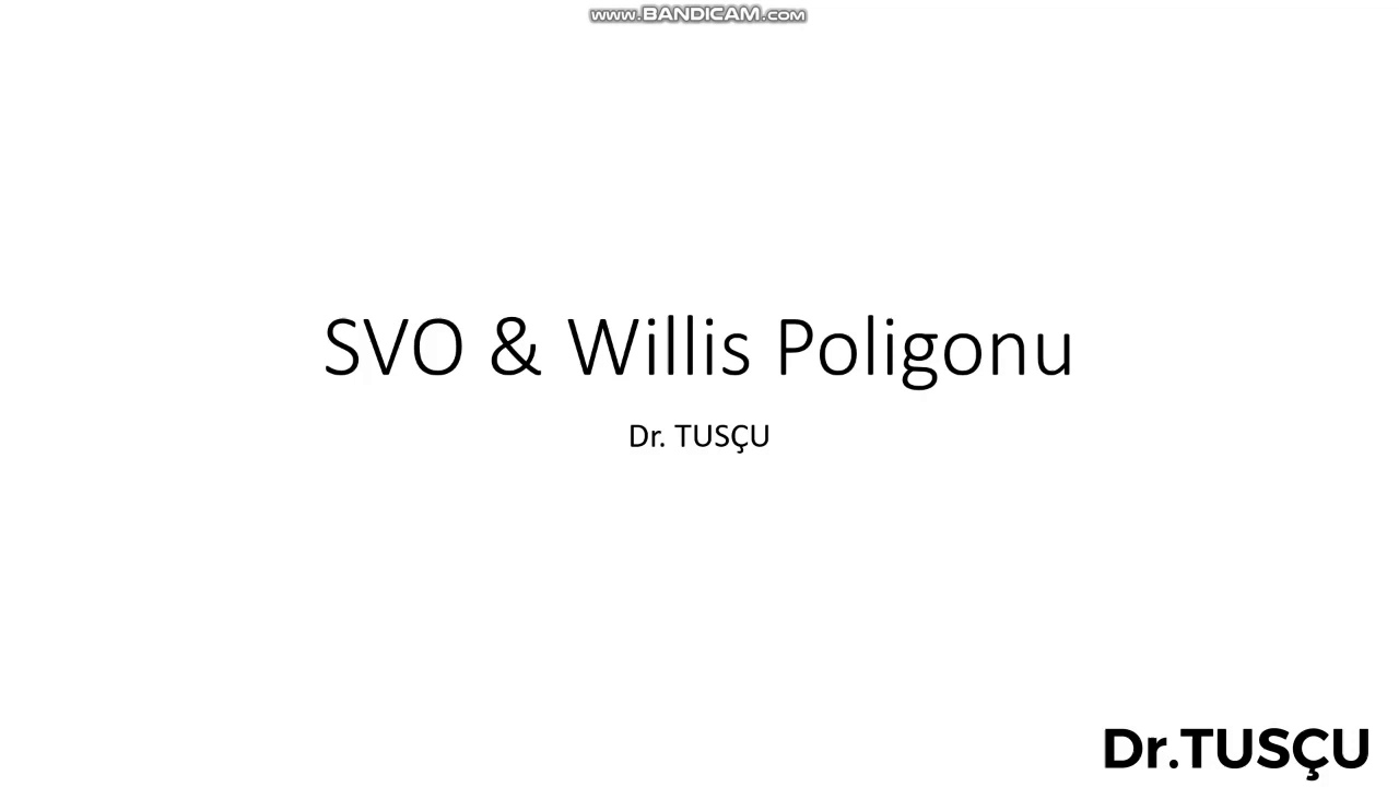 #TUS | SVO & Willis Poligonu, İnme