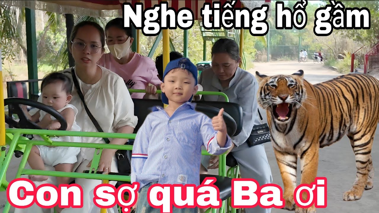 Lần đầu tiên nghe tiếng hổ gầm FanTa con sợ quá Ba ơi l GĐ nhỏ tham quan sở thú Mỹ Quỳnh