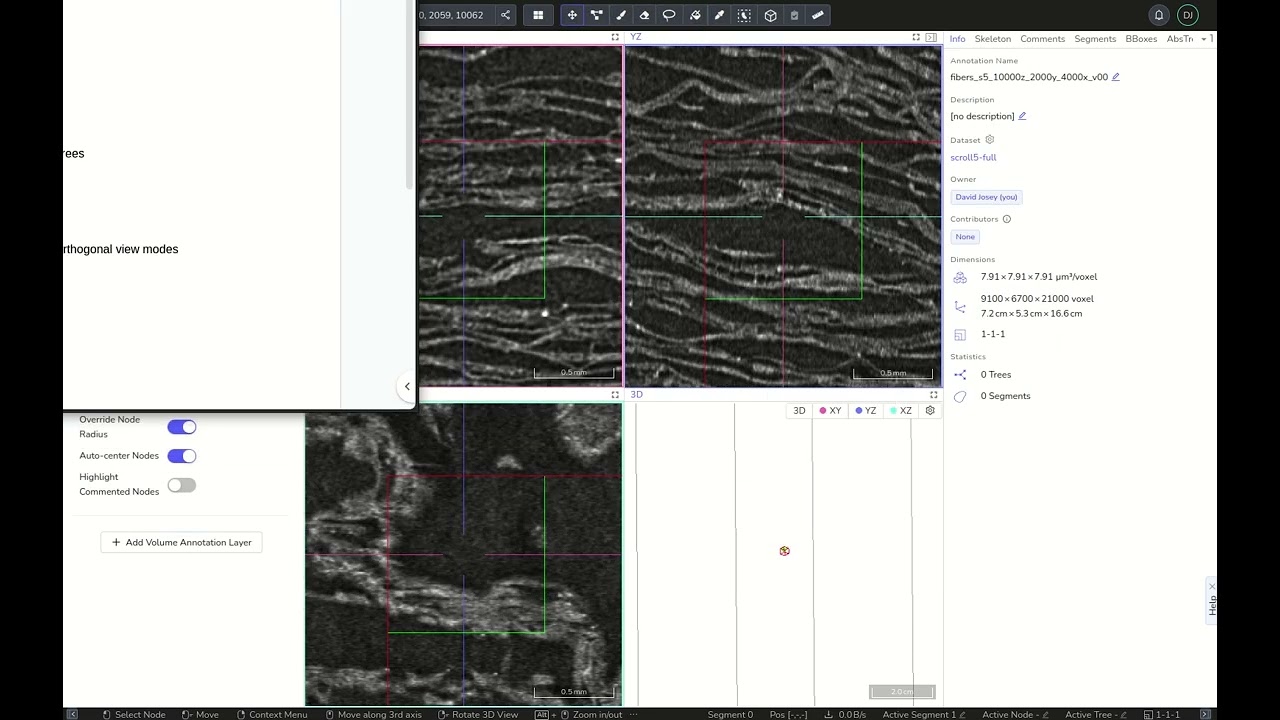 Tutorial: Annotating Papyrus Fibers in CT Scans of Ancient Scrolls