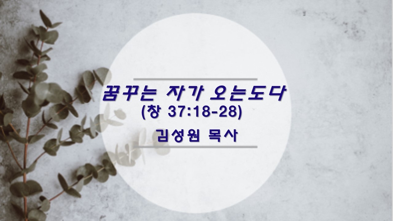 꿈꾸는 자가 오는도다(창37:18-28) / 김성원 목사 / 260215 주일예배