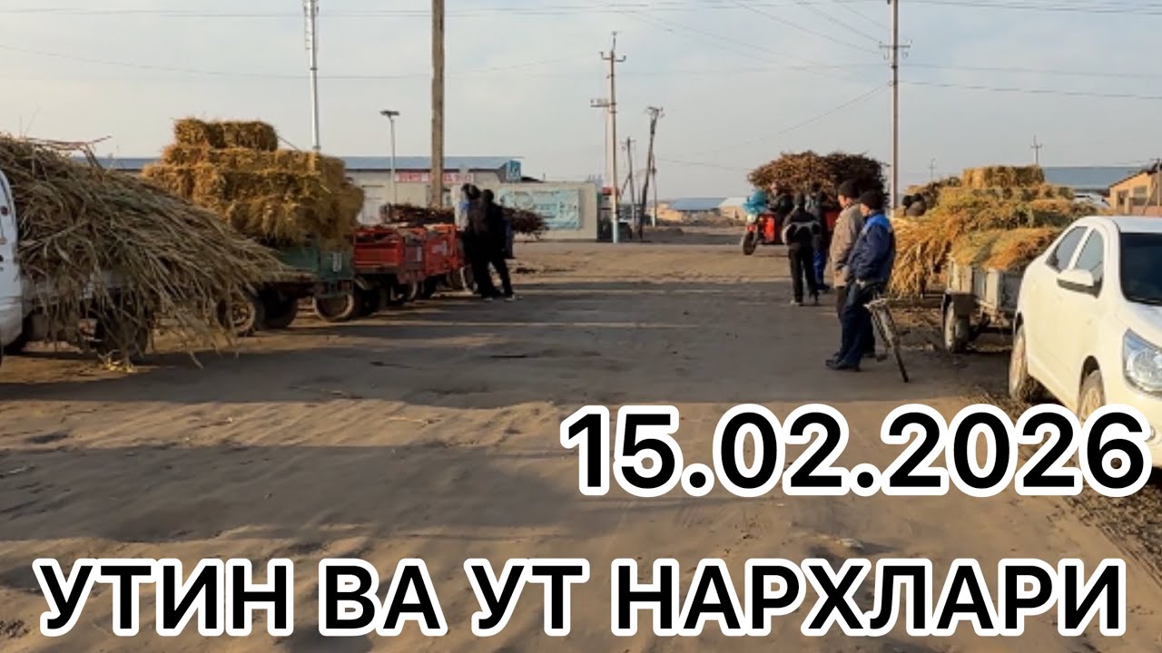 15 февраля 2026 г. ЭЛЛИККАЛА БУСТОН УТИН УТ НАРХЛАРИ 