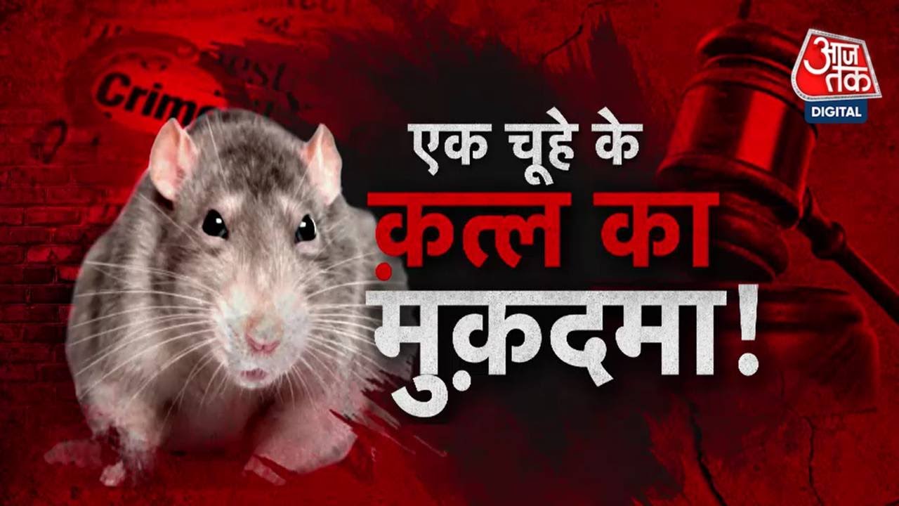 Rat Murder Case: चूहे की पोस्टमार्टम रिपोर्ट में अहम खुलासा ! | Budaun News | Rat | UP Police