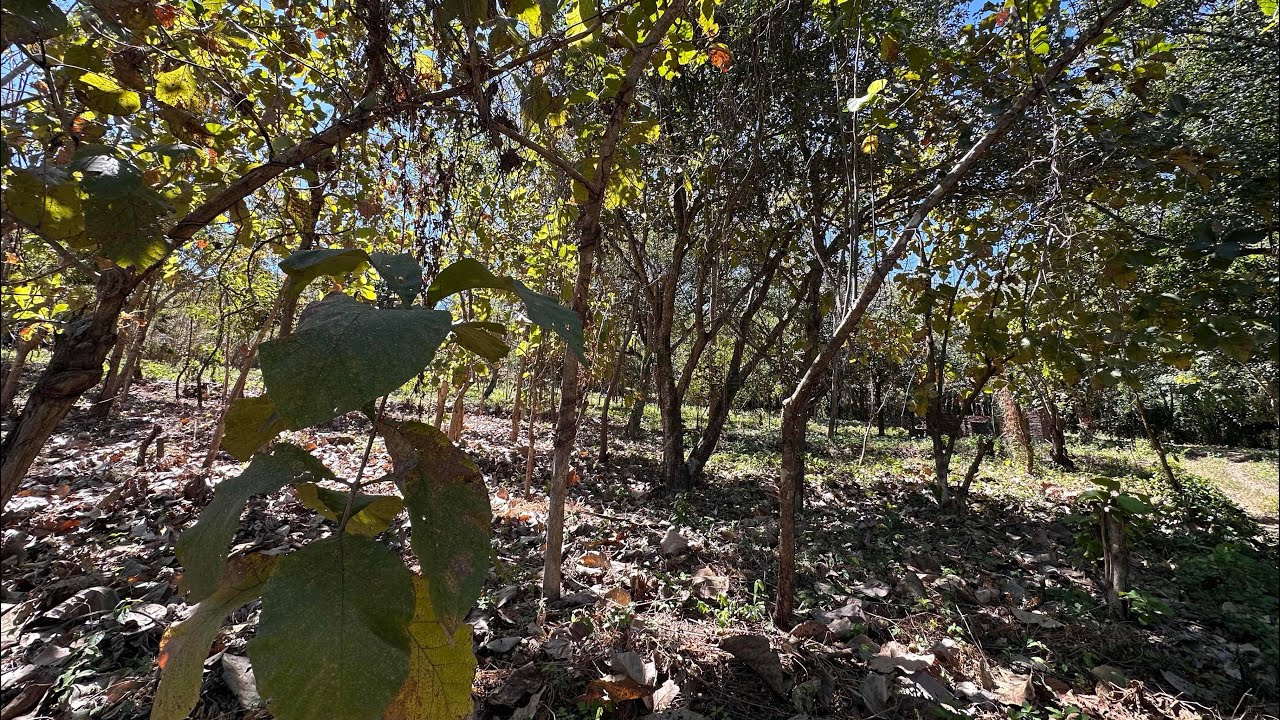 Se Venden Terrenos para tu CASA DE CAMPO en Quezaltepeque La Libertad $48,000.00 #ElSalvador