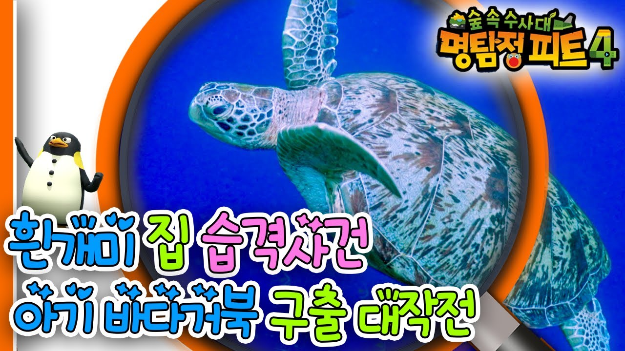[EBS놀이터] 명탐정 피트4🔎｜흰개미 집 습격사건🐜｜아기 바다거북 구출 대작전🐢｜숲 속 수사대｜동물｜식물｜곤충｜애니메이션