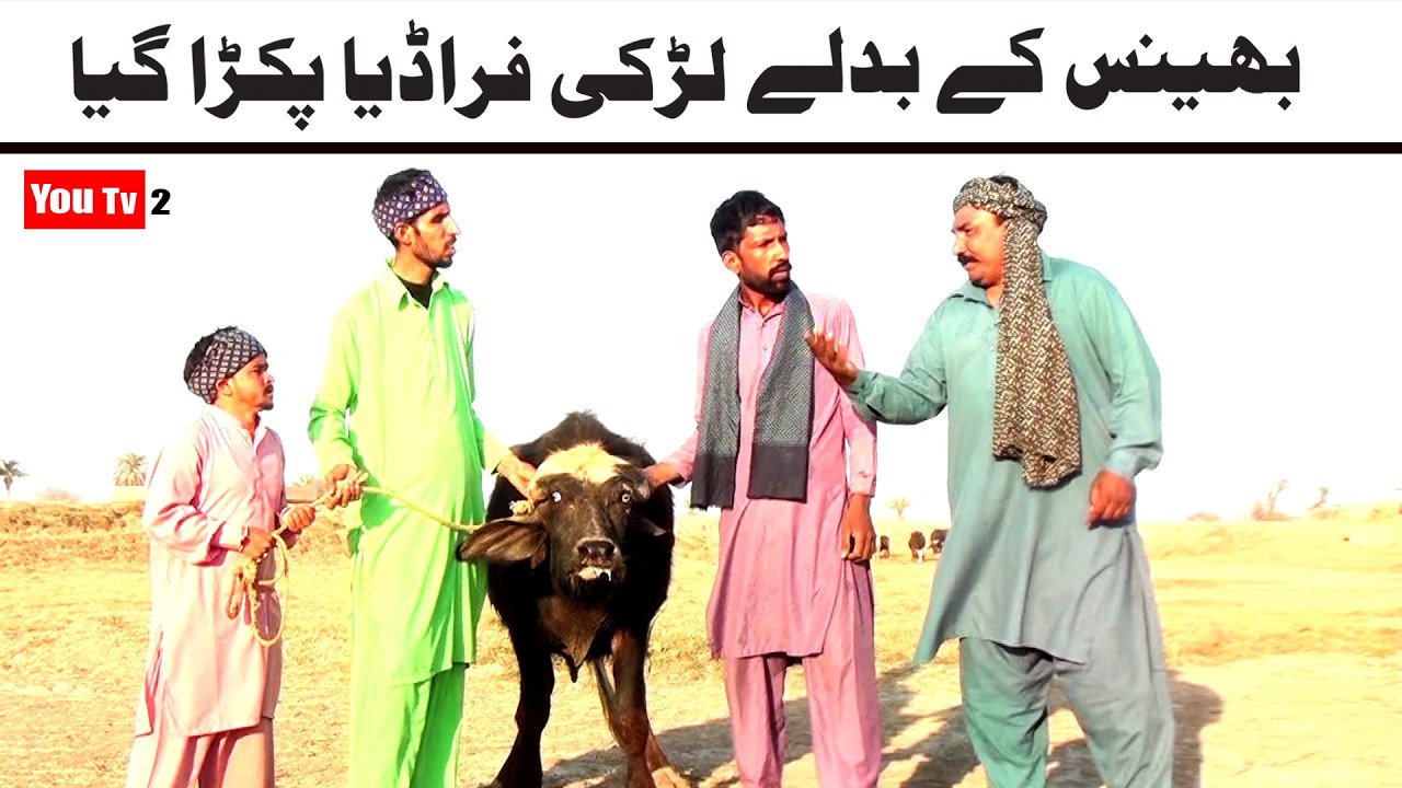 Noor Nazeer Bhains K Badlay Larki Fruad New Funny Video | Most Comedy Funny Video | You Tv2 Hd 2026