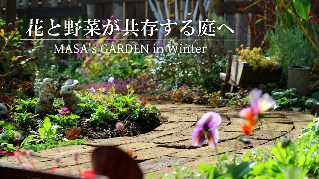 【庭Vlog】花も野菜も楽しむレイアウトへ大幅変更 | 自家交配のビオラが咲いた | テラス階段の下地作り | ガーデニング | gardening