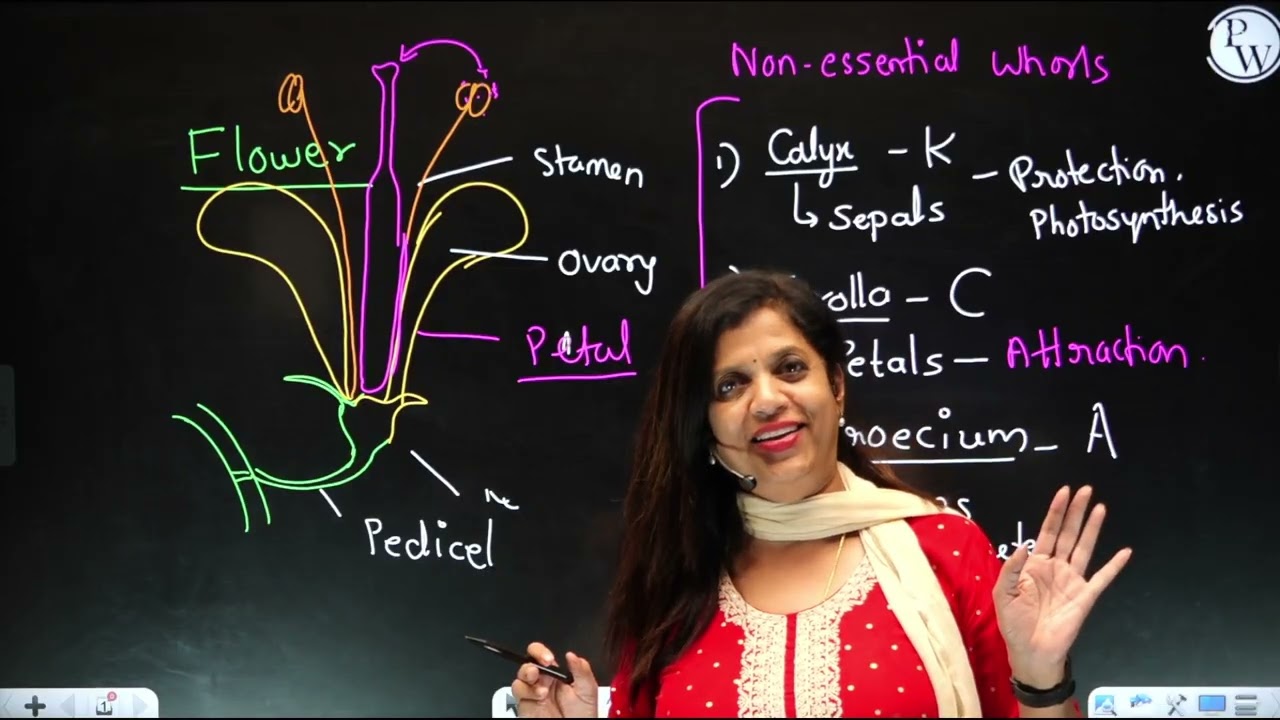 Floral diagram and formula....Easy way to follow 