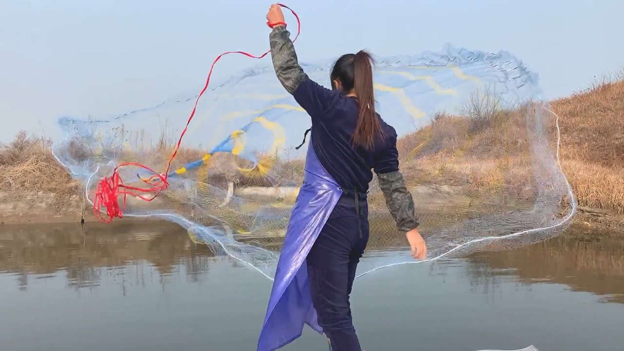 戶外小河橋下撒網，一網全是大鯉魚爆網了 Casting a net under the outdoor small river bridge, there are many big carp