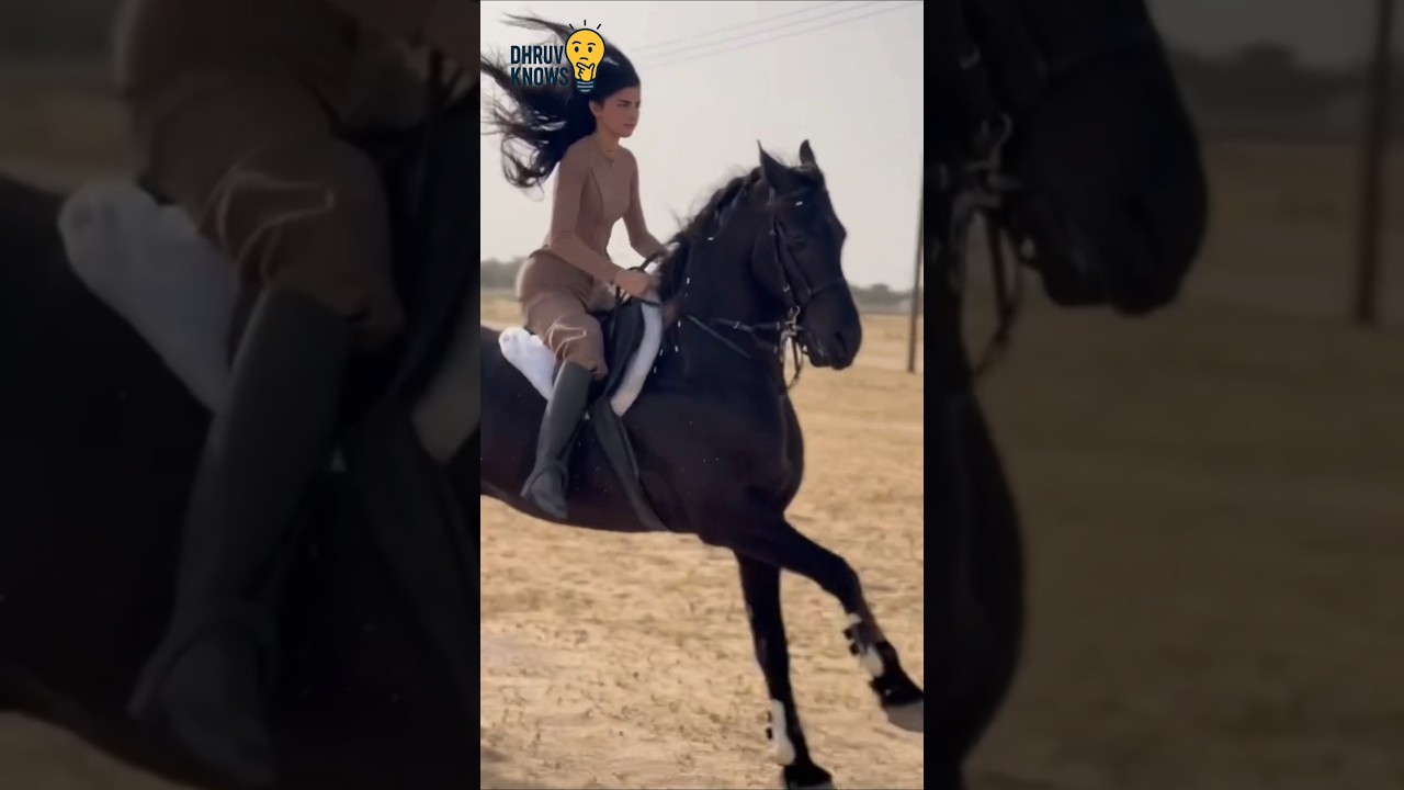Horses are built different😱
