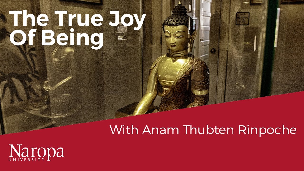 The True Joy of Being Human with Anam Thubten Rinpoche