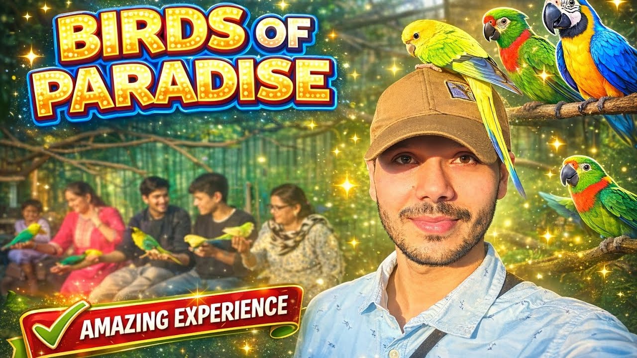 Nature’s Masterpiece – The Incredible Birds of Paradise🐦🦜🐓