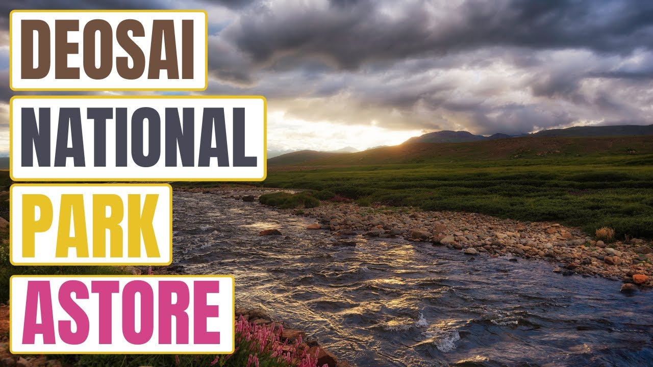 DEOSAI NATIONAL PARK | ASTORE VALLEY IN URDU/HINDI BY PLANET CRAVING