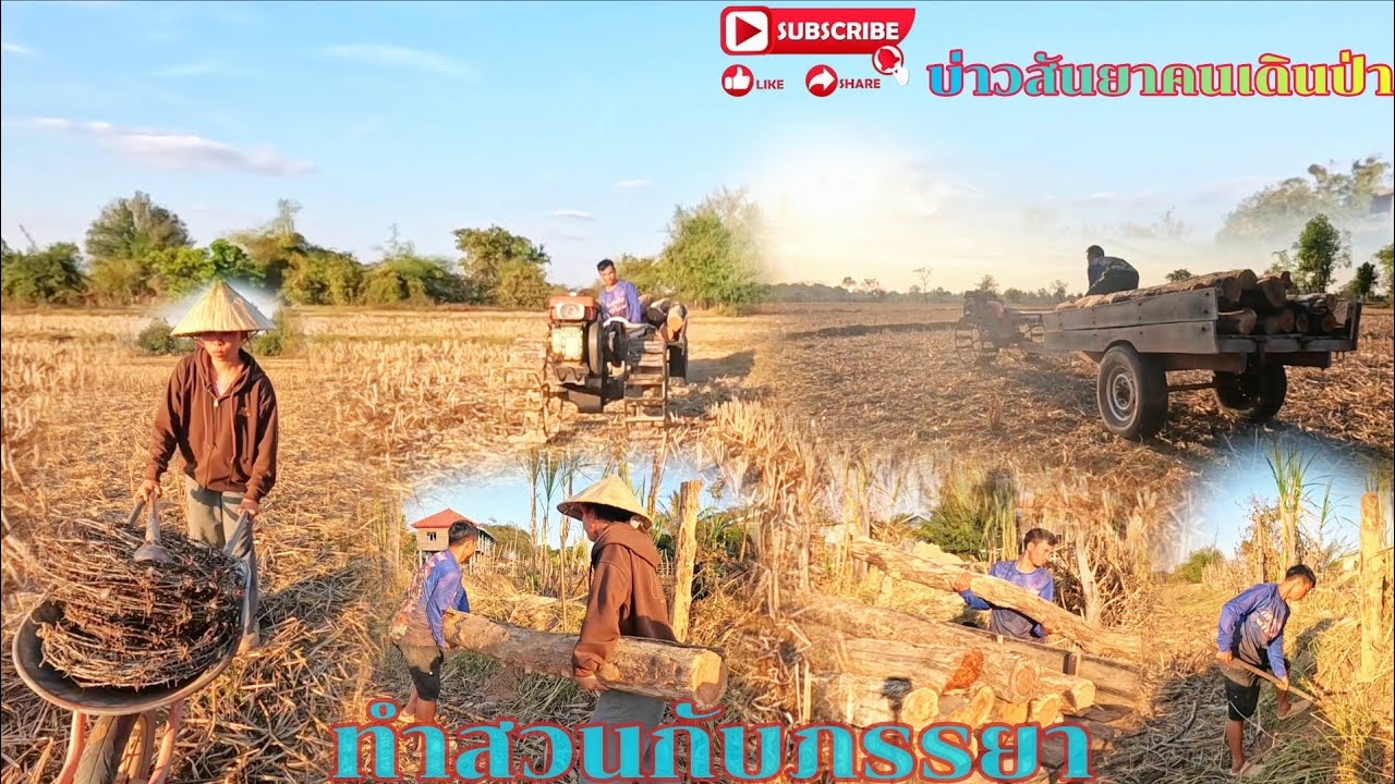 #กลับจากบ้านพรานเฮียง#ทำสวนกับภรรยา#บ่าวสันยาคนเดินป่า