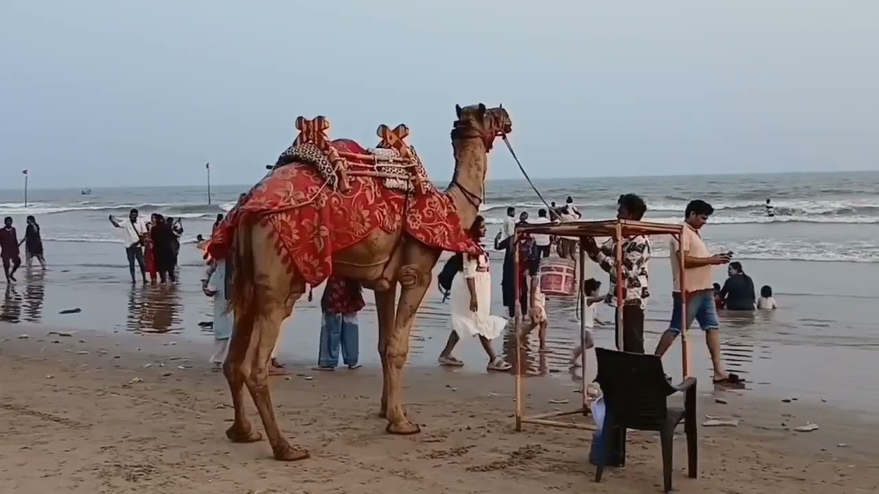 బాపట్ల సూర్య లంక బీచ్ లో సూర్యాస్తమయం/షార్ట్స్/2026