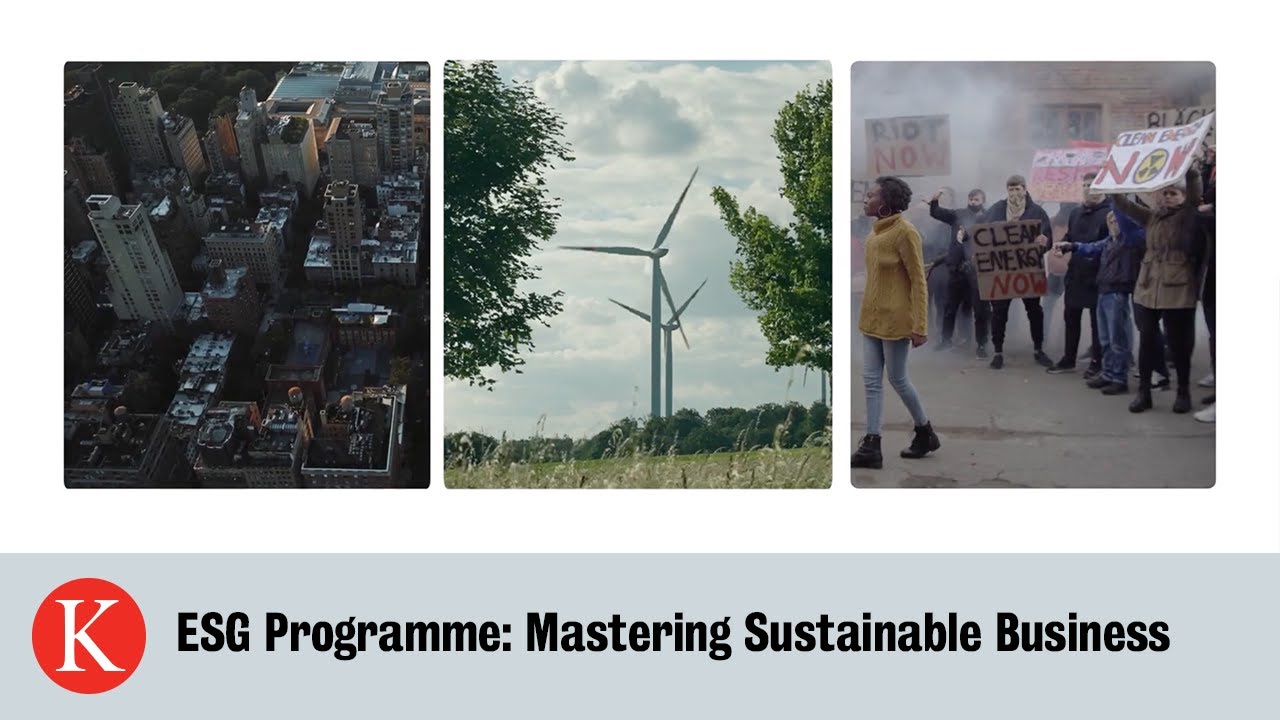 ESG: Moving Beyond Compliance to Creating Value & Opportunity | King's Business School