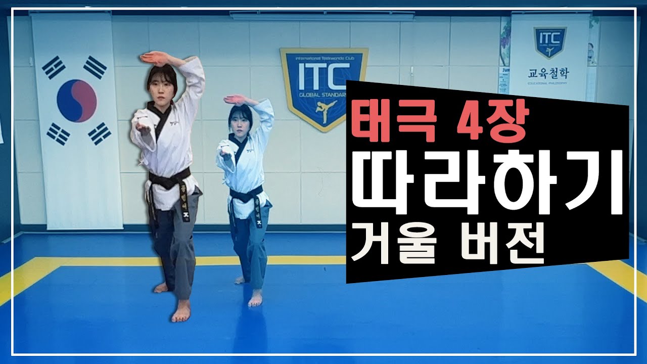 태극 4장 거울버전 & 후면버전 동시 제공