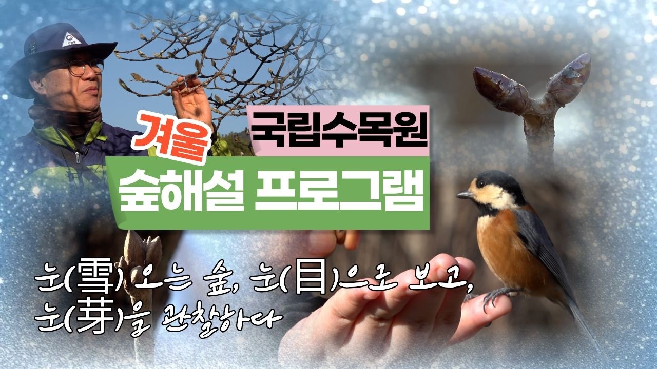 [국립수목원] 눈(雪) 오는 숲, 눈(目)으로 보고, 눈(芽)을 관찰하다 (겨울 숲해설 안내)