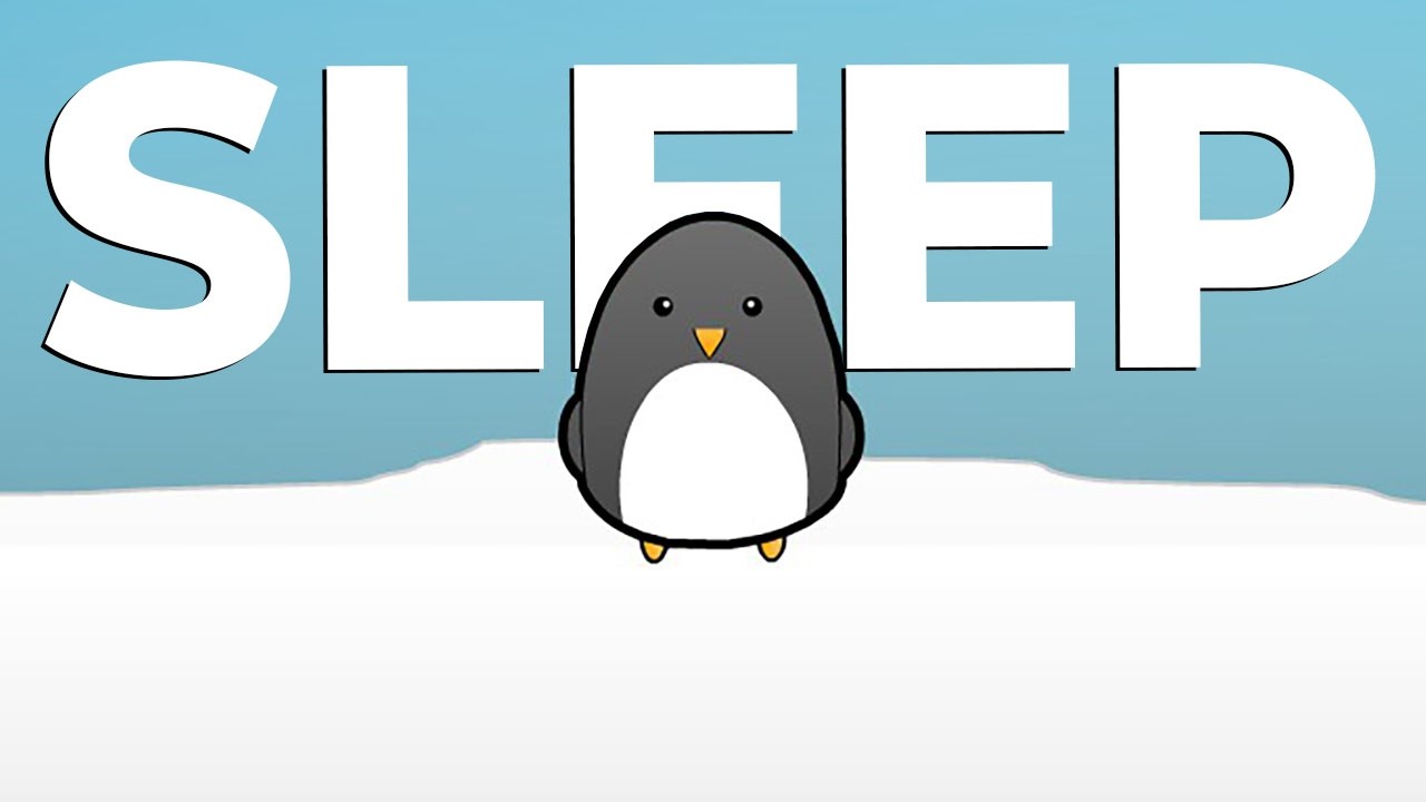 I Upgrade To Send A Penguin Into Space