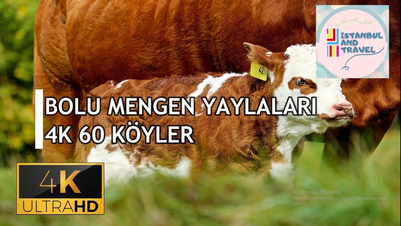 BOLU MENGEN YAYLALARI / KÖYLER / MUHTEŞEM DOGA HD 4K / BOLU TRAVEL GUIDE 2020