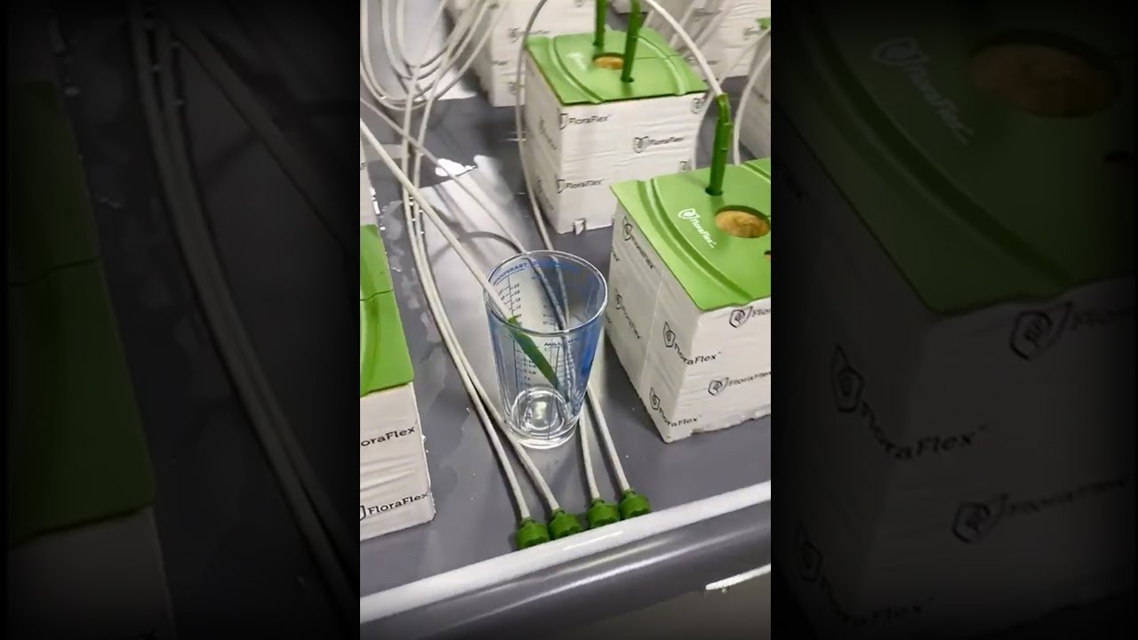 1 Way Accuracy Test⁠