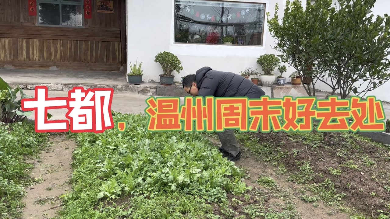七都：温州周末好去处，曾经无人问津，现在人流如织