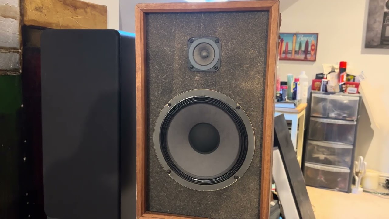 ELAC B 6.3 v Realistic Mc1200 . One hell of a ramble and a shocking result . I am Mr Positive 😂