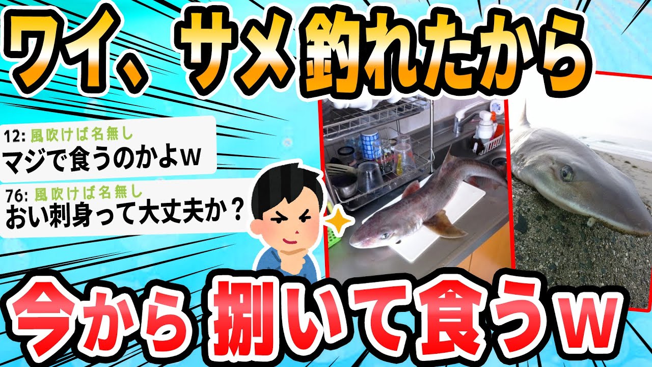 【2ch面白いスレ】サメ釣れたったｗｗｗ