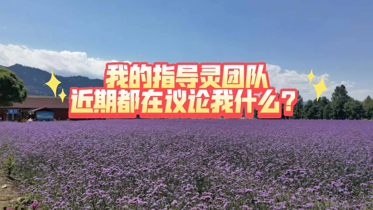 我的指导灵团队近期都在议论我什么？(不限时空，有雷慎入！)