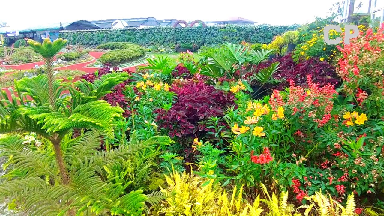 GRANDIOSE HOUSE GARDEN LANDSCAPE/COZY AND MASSIVE 