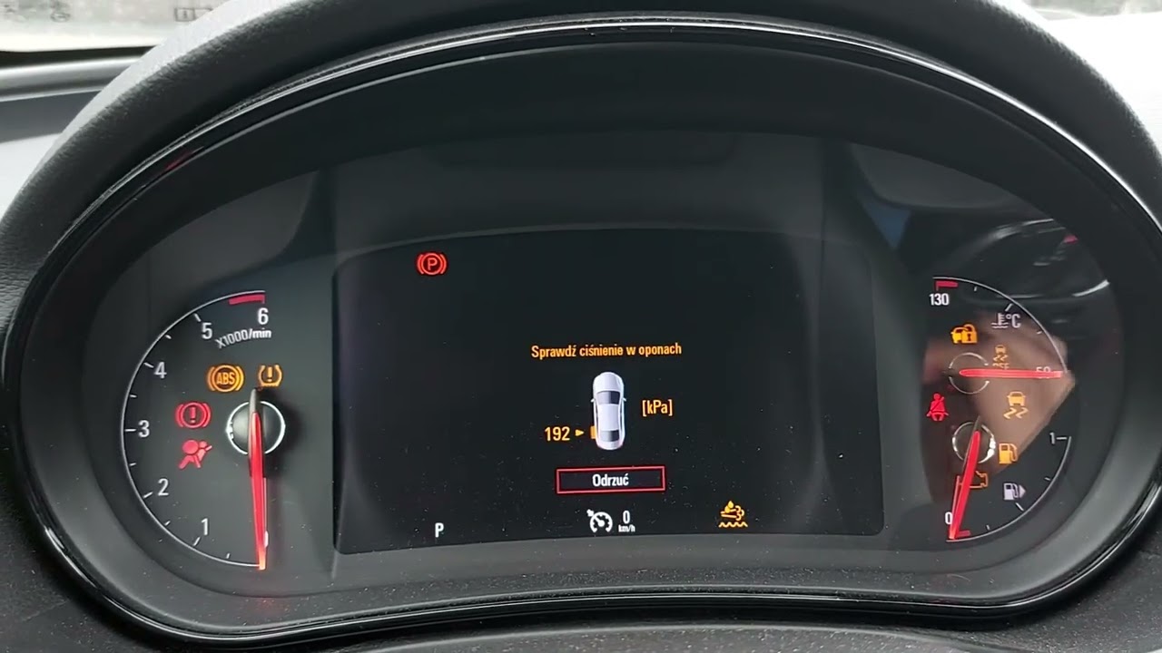 Opel Insignia 2.0 CDTi EcoFlex cold start in the Spring