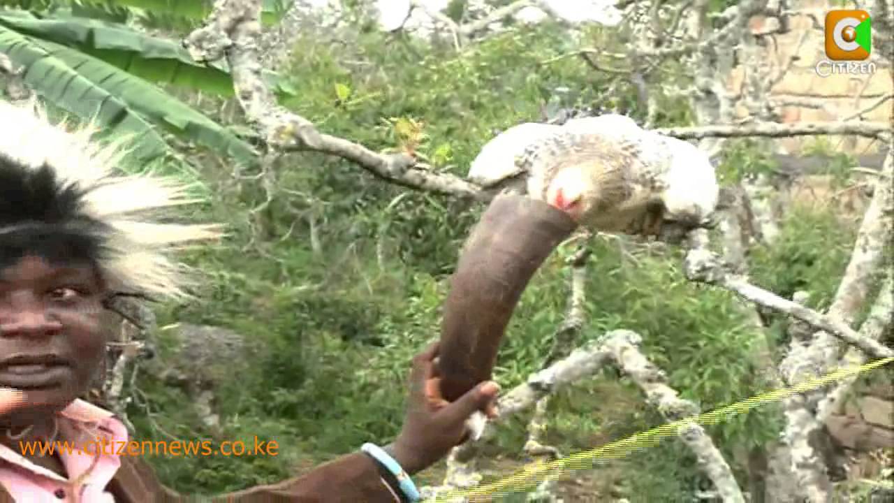The Miraa'cle Tree Part 2