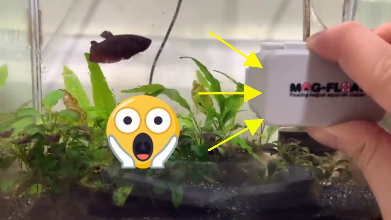 Magfloat Review