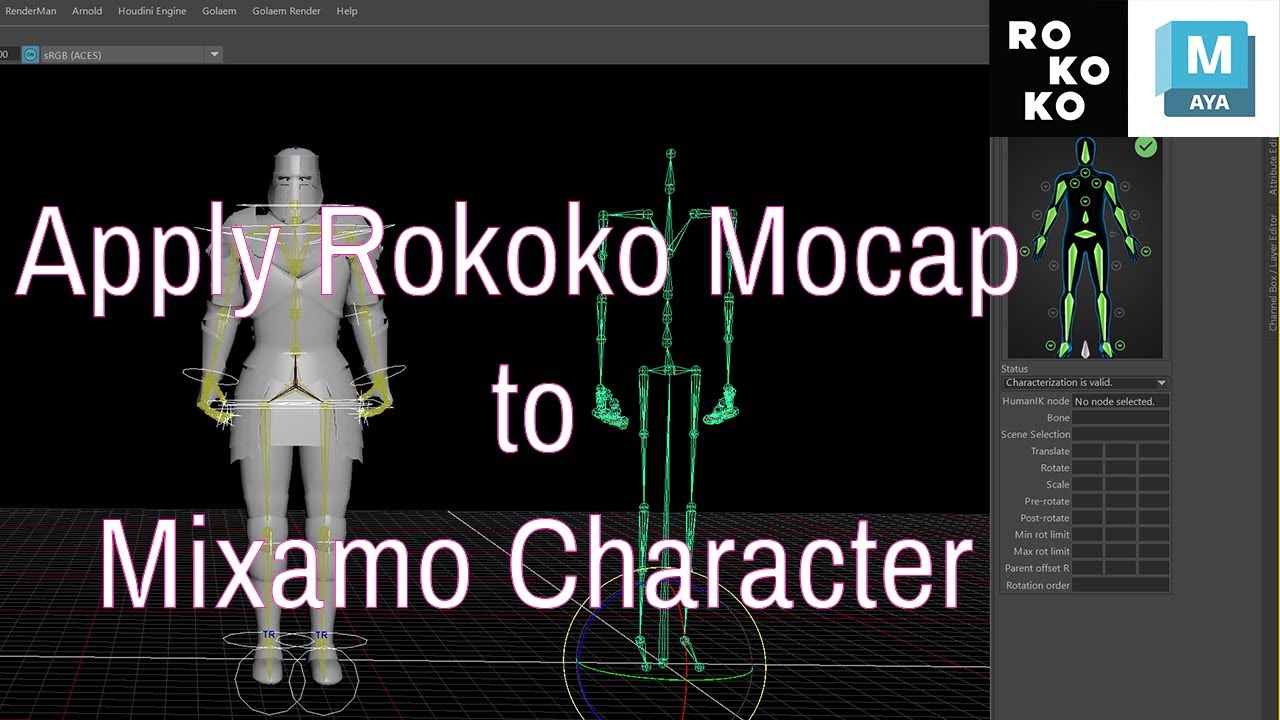 Rokoko Mocap HIK Maya
