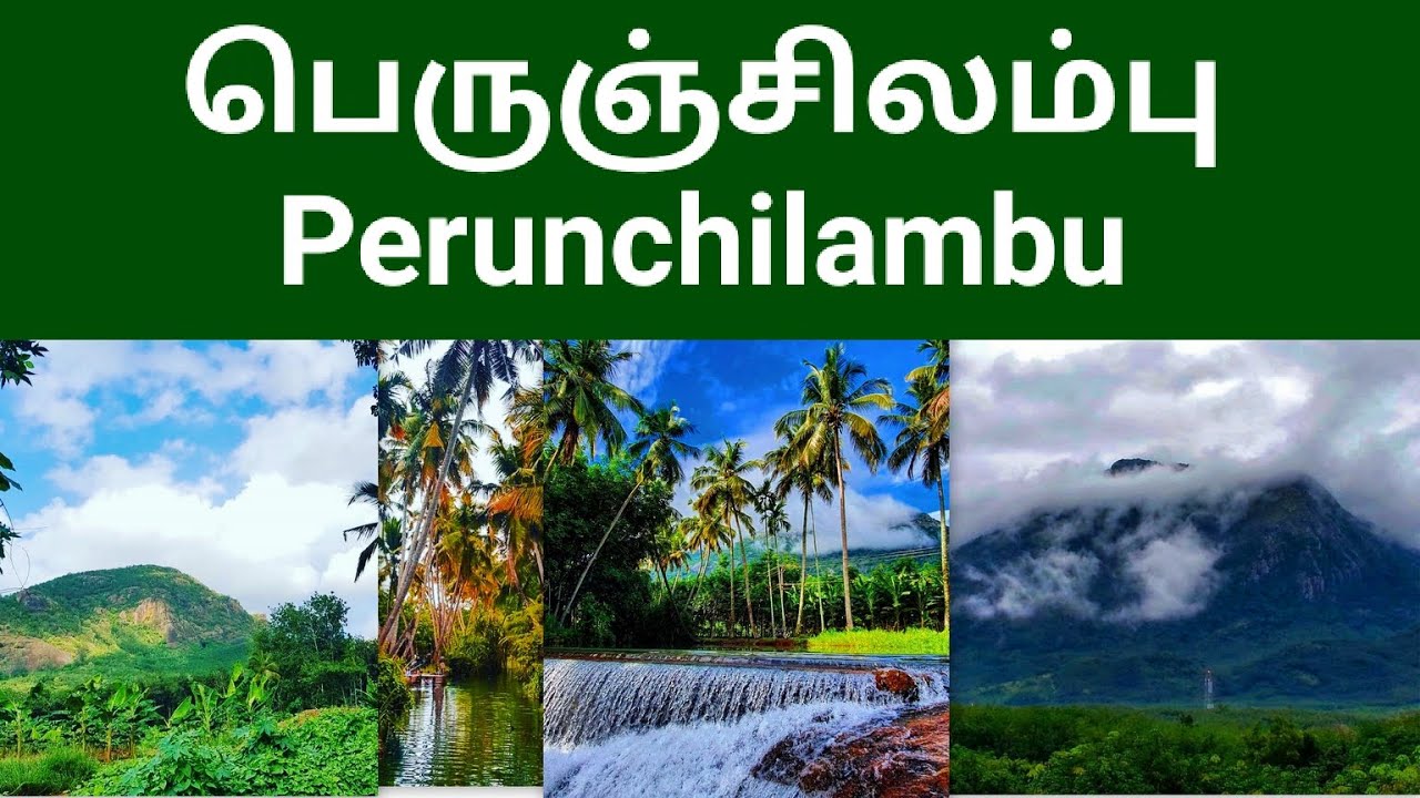 பெருஞ்சிலம்பு | Perunchilambu | Green River in Kanyakumari