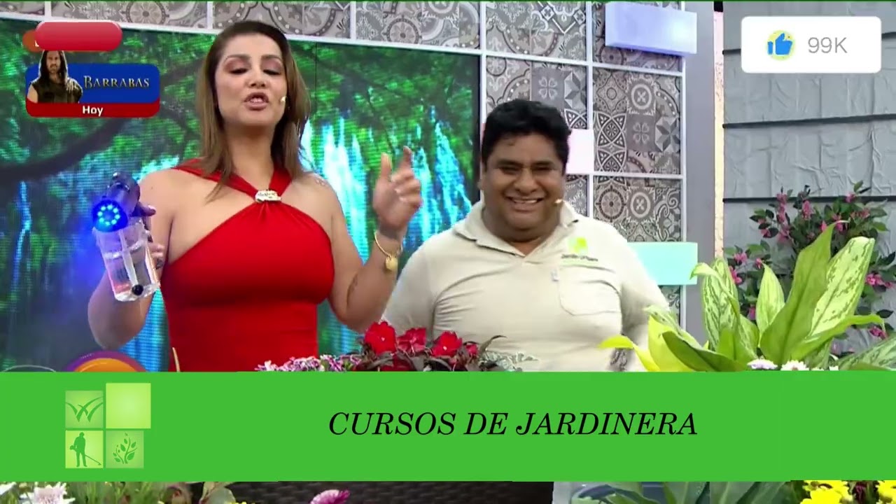 Controla las plagas en tus plantas con el uso del ozono en la jardineria