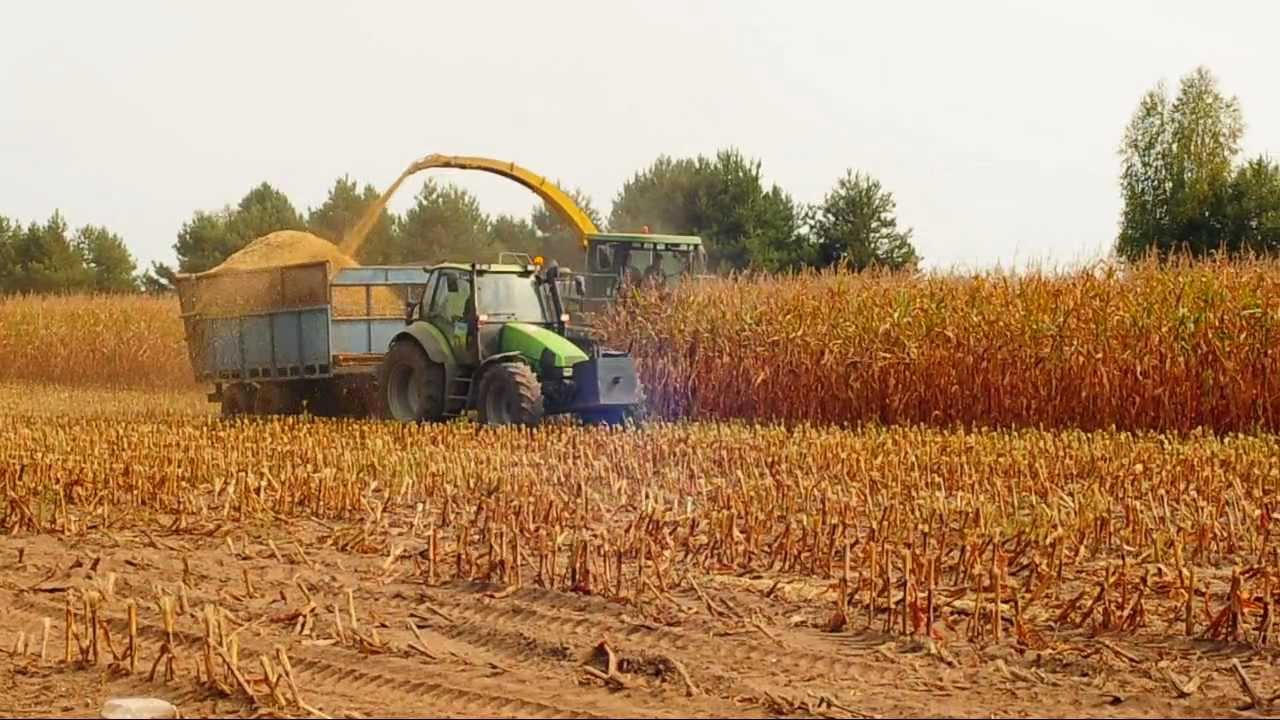 Grazit John Deere 7300 Usługowe koszenie kukurydzy 2012 ( ensilage )