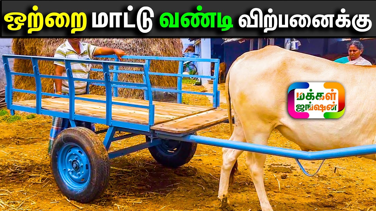 புதிய ஒற்றை மாட்டு டயர் வண்டி வேண்டுமா ?, பண்ணை வாகனம், மாட்டு வண்டி, #cowcart , #bullockcart