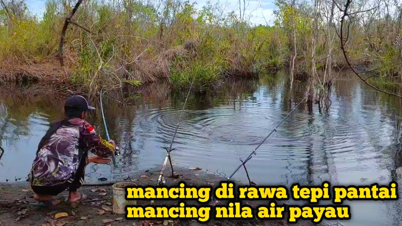 mancing ikan nila air payau,spot mancing tepi pantai@MINANG-PETUALANG