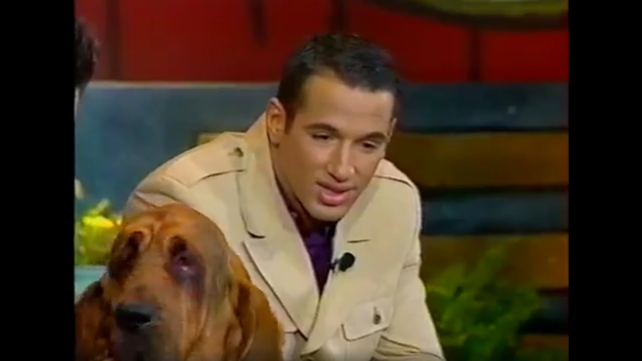 ALLIAGE - French TV (TF1) - DRÔLE de JEU (V. LAGAF) & Chanson 