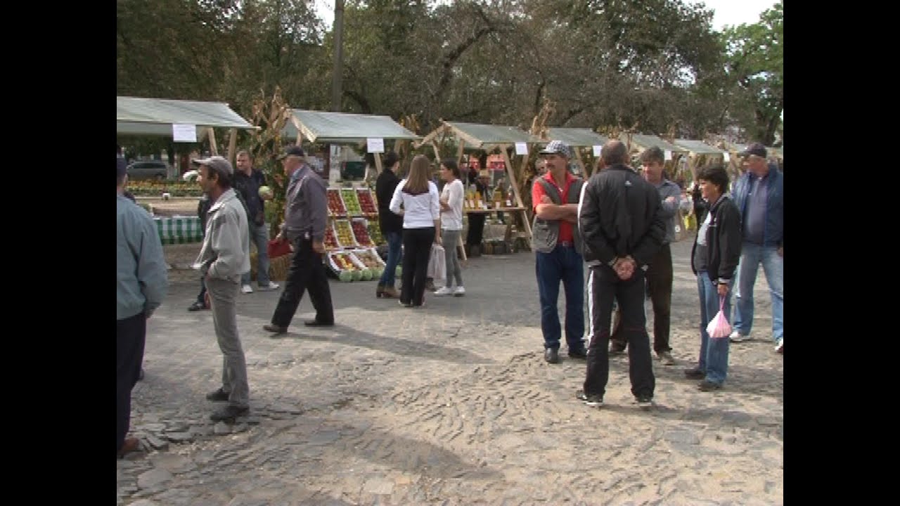 Targul livezilor traditionale la Dumbraveni | novatv.ro