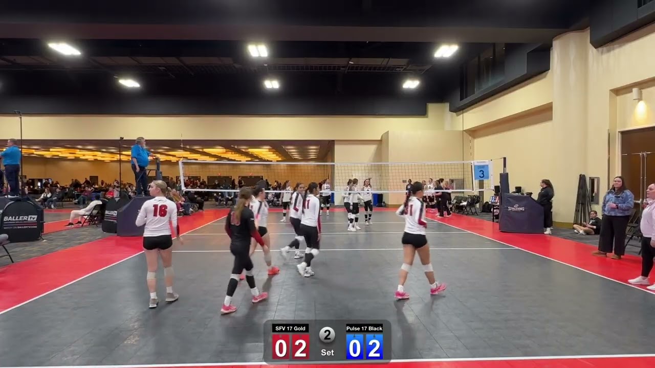 SFV 17 Gold vs SFV Pulse 17 Black ( Game 2)