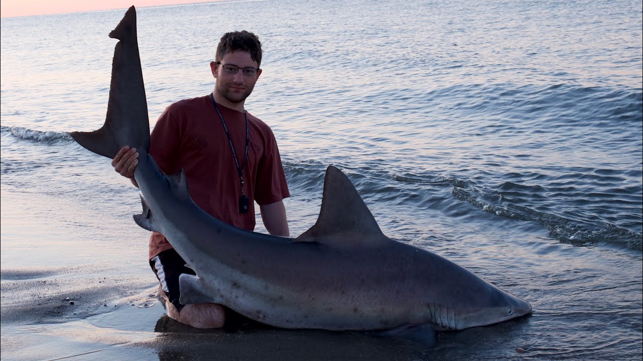 Beach Fishing for MASSIVE Sharks with Spinning Gear! (Insane)