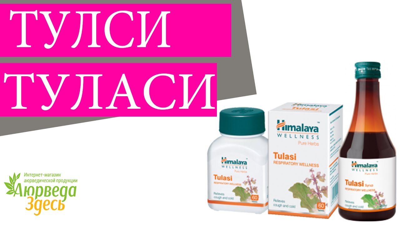 Туласи. Тулси. Базилик священный. Аюрведа здесь