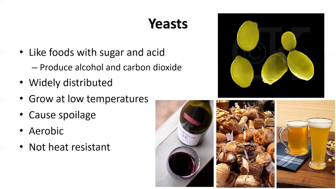 Microorganisms in Food