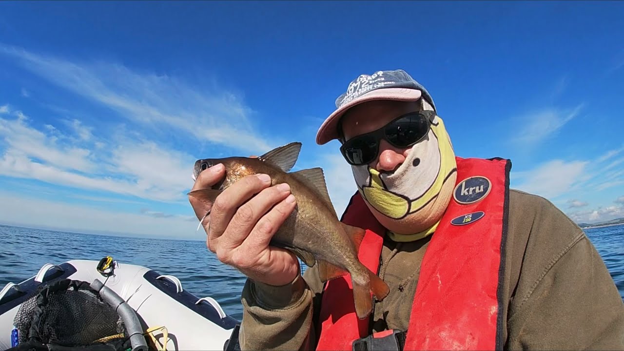 Sib Fishing -  wreck fishing-shoreham port - #honwavet32