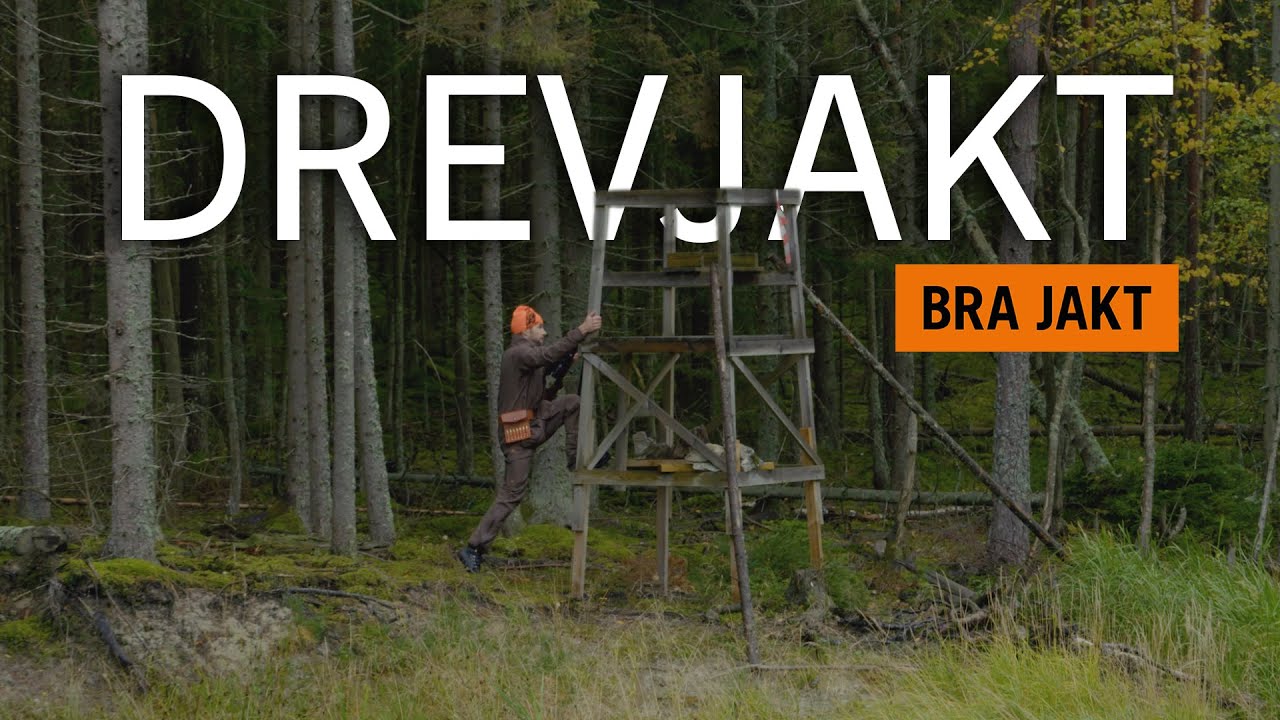 Drevjakt - Så lyckas du som passkytt! 
