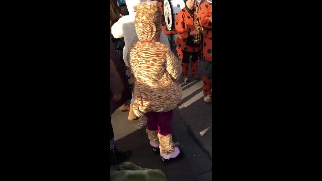 Karneval 2016