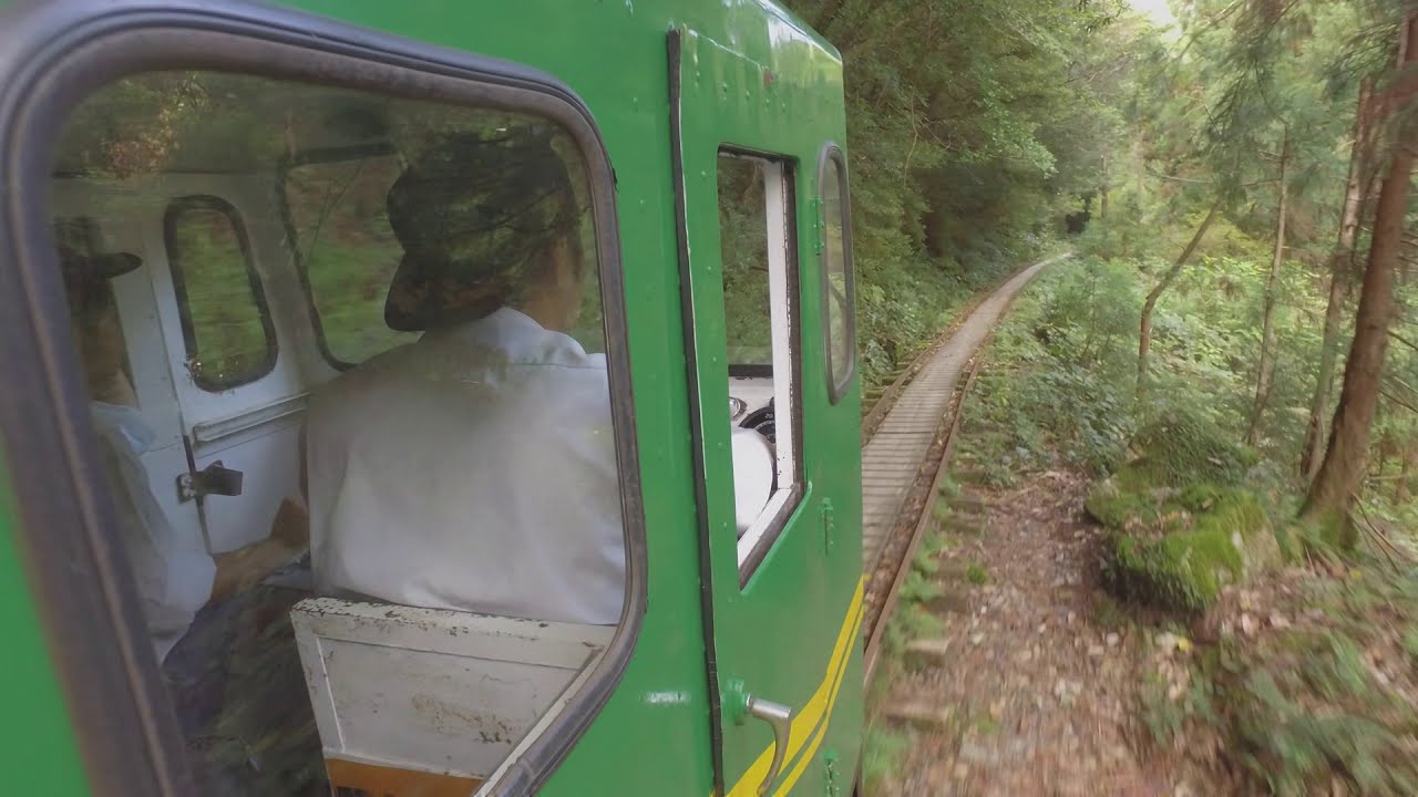 安房りんてつ: Ride Japan's last Forest Railway on remote Yakushima Island 屋久島 or 安房森林軌道