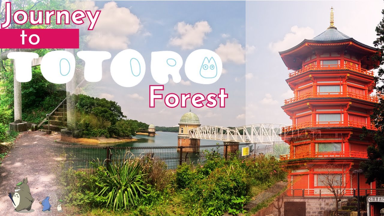 4K Journey to TOTORO's forest and Sayama Hills cycling in Saitama